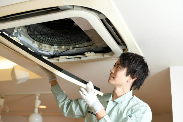 Best Affordable Duct Cleaning Services  in Falconer, NY